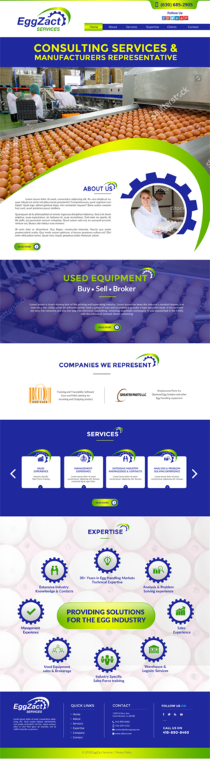 Web Design by chandrayaan.creative for EggZact Services | Design: #17548184