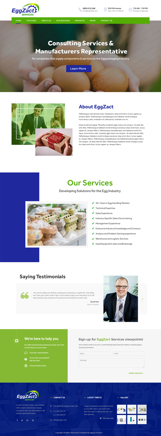 Web Design par Xclusive Designers pour EggZact Services | Design #17526380