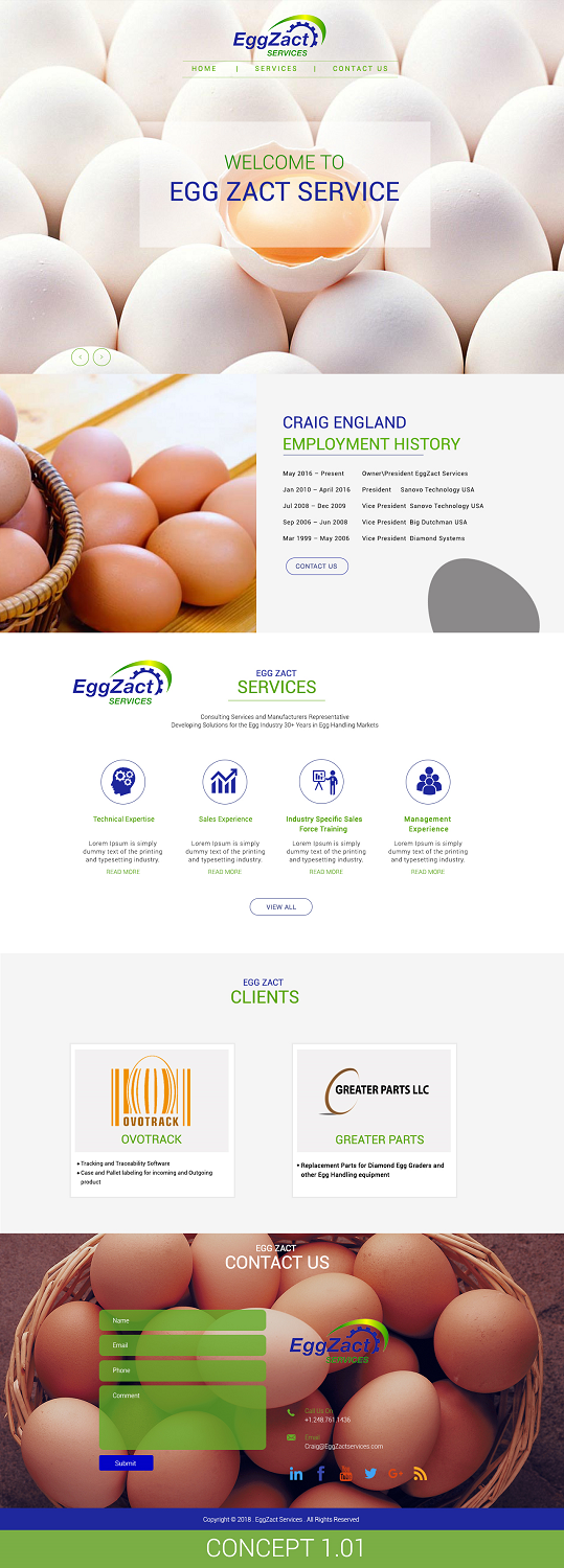 Web Design by 5SD solutions for EggZact Services | Design #17505041