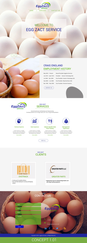 Web Design by 5SD solutions for EggZact Services | Design: #17505041