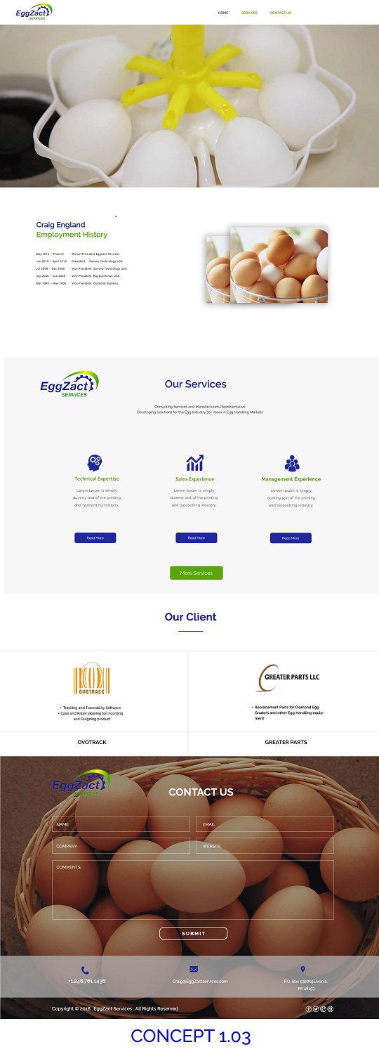 Web Design by 5SD solutions for EggZact Services | Design #17505043
