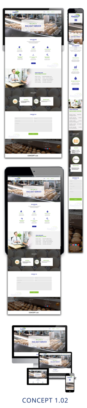 Web Design by 5SD solutions for EggZact Services | Design: #17532370