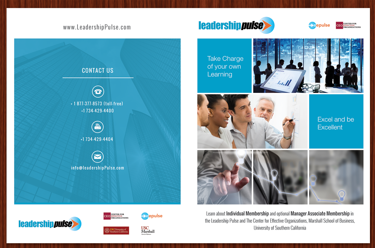 Diseño de Brochure por Adylhere para eePulse, Inc. | Diseño #17651215