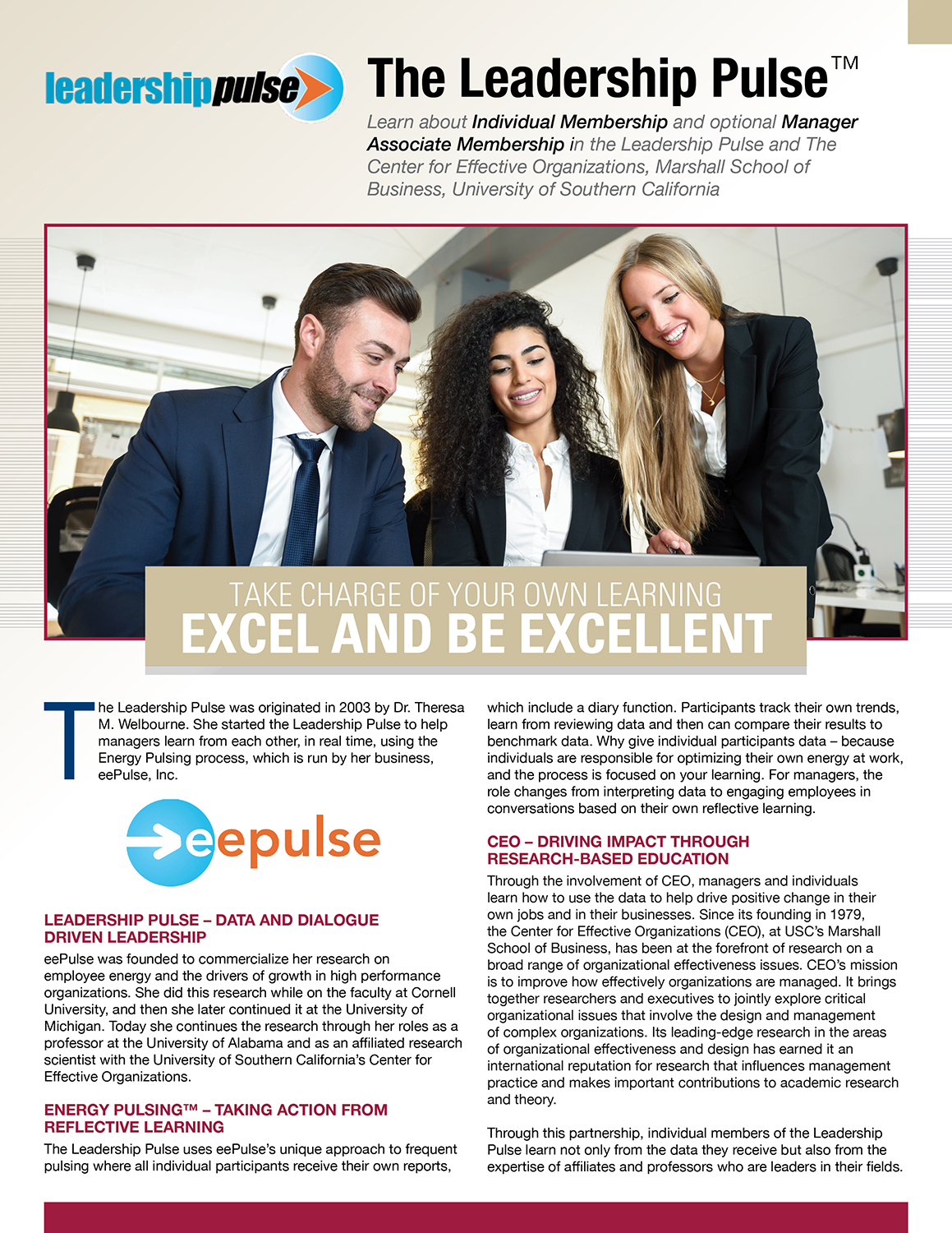 Brochure Design by DesignFive for eePulse, Inc. | Design #17500629