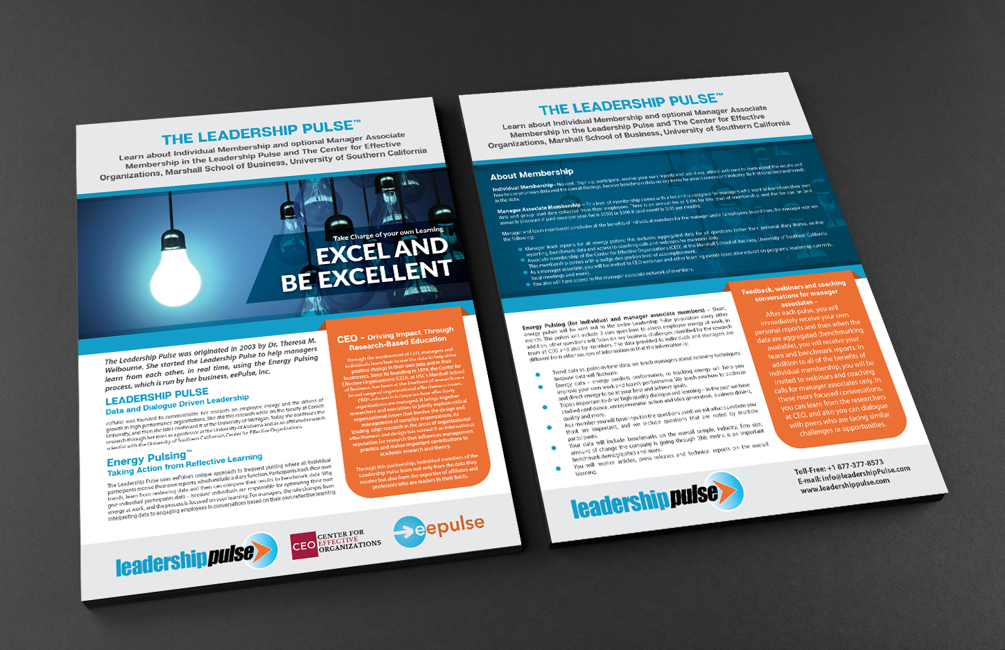 Brochure Design by Deziners Zone for eePulse, Inc. | Design #17499987