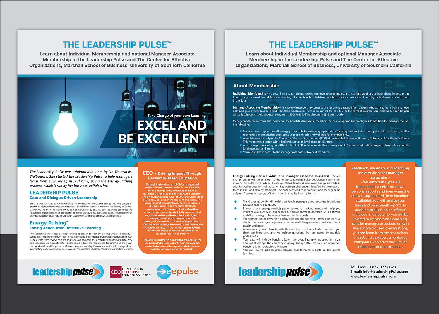 Brochure Design by Deziners Zone for eePulse, Inc. | Design #17499990