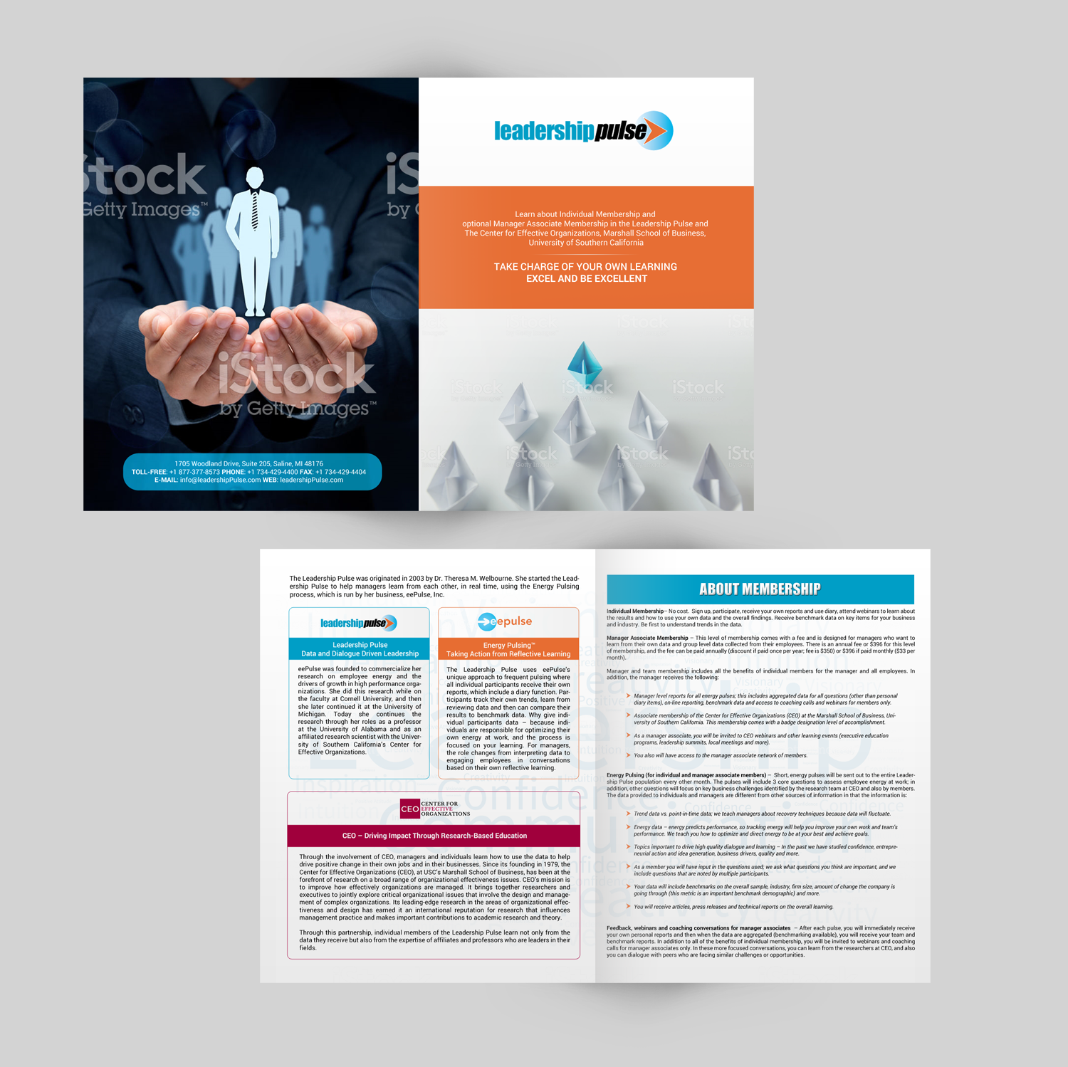 Diseño de Brochure por chandrayaan.creative para eePulse, Inc. | Diseño #17542109