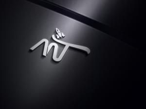Design de Logo par Hieroglyphics pour Selznick Scientific Software, LLC | Design : #17492250