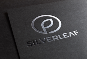 Logo Design by CK Studio