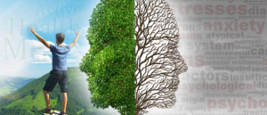 Banner Ad Design by Design World