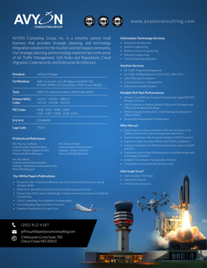 Need a one sheet capability statement for my consulting company | Flyer-Design von Valtti Design