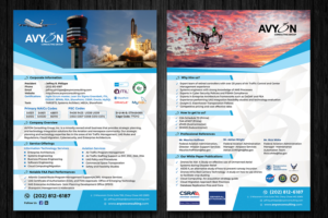 Need a one sheet capability statement for my consulting company | Design de Flyer par ecorokerz