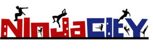 Logo-Design von nedwards321 für NinjaCity | Design: #17704221