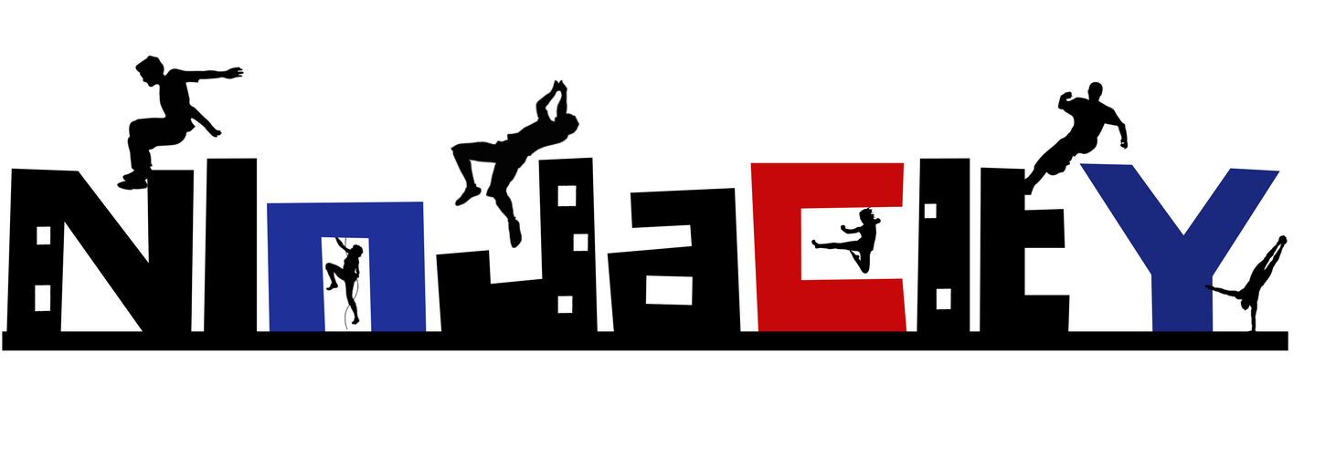 Logo Design by nedwards321 for NinjaCity | Design #17704224