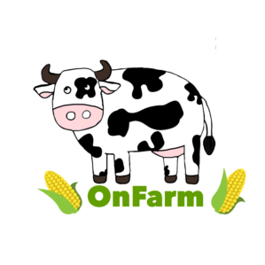 Logo Design by mp62