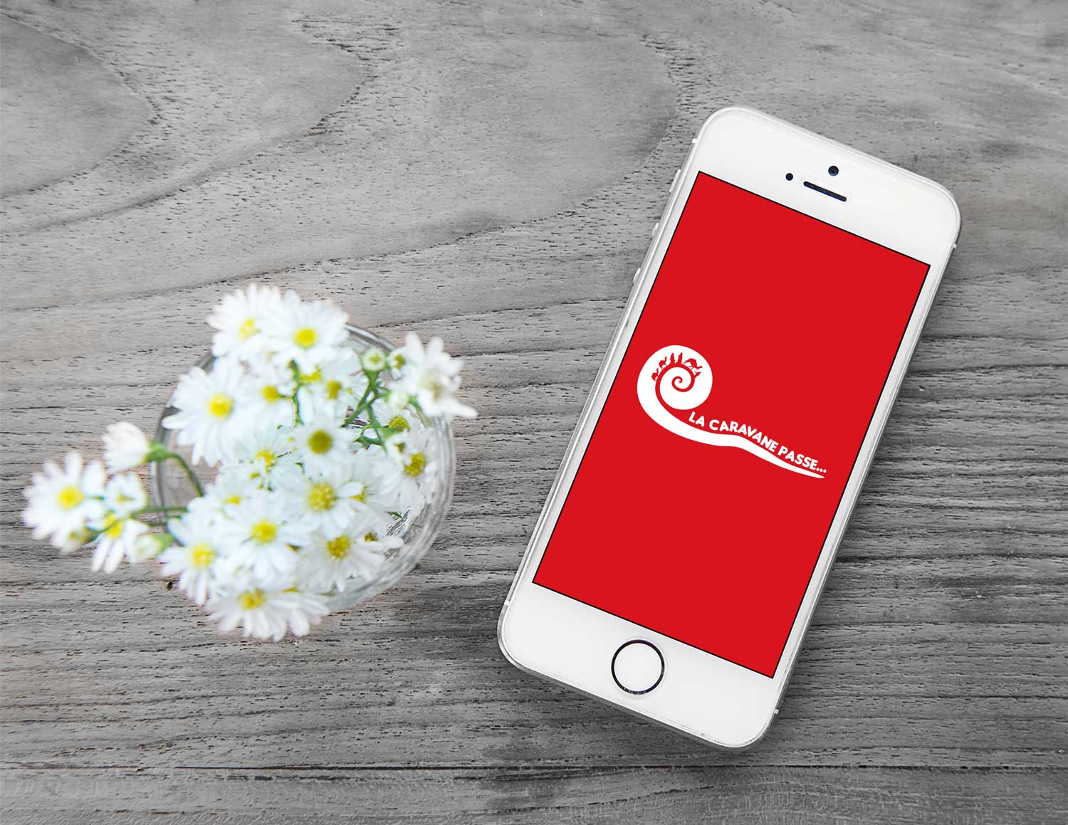 Diseño de Logo por broodoz22 para este proyecto | Diseño #17560869