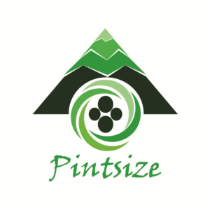 Logo Design by noel chavez