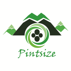 Design de Logo par noel chavez pour ce projet | Design : #17583565