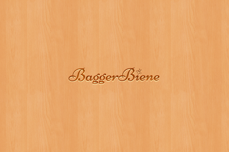 Logo Design by Lotus 3 for this project | Design #17566560