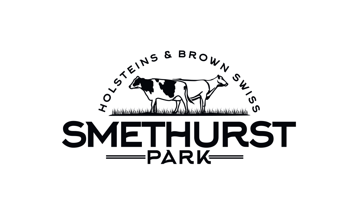 Diseño de Logo por trufya para este proyecto | Diseño #17642790