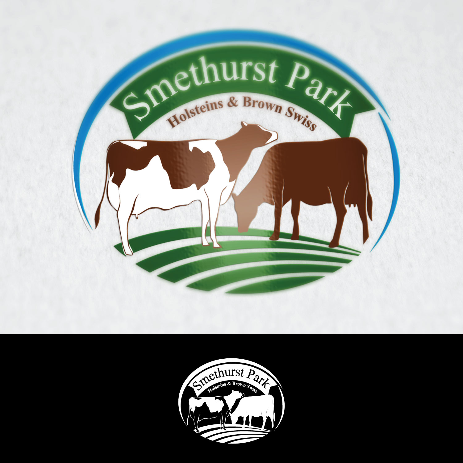 Logo Design by concepts for this project | Design #17641911