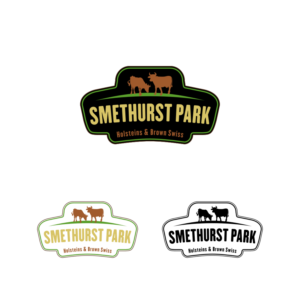 Logo Design by DesignMonkeyBH for this project | Design #17526224