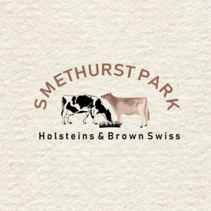 Logo Design by deevillacarlos for this project | Design: #17688348