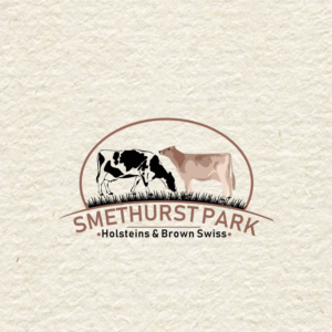 Design de Logo par deevillacarlos