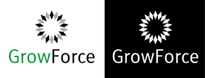 Logo Design by fransdesign for Van der Auwera Advisory GCV | Design #17560056