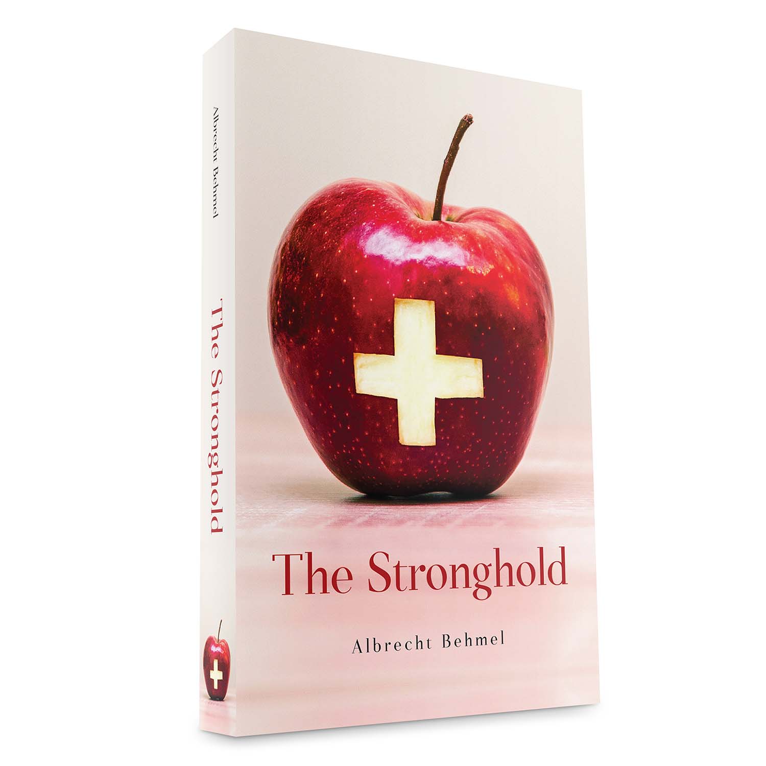 Buchumschlag Design von BengsWorks für dieses Projekt | Design #17626244