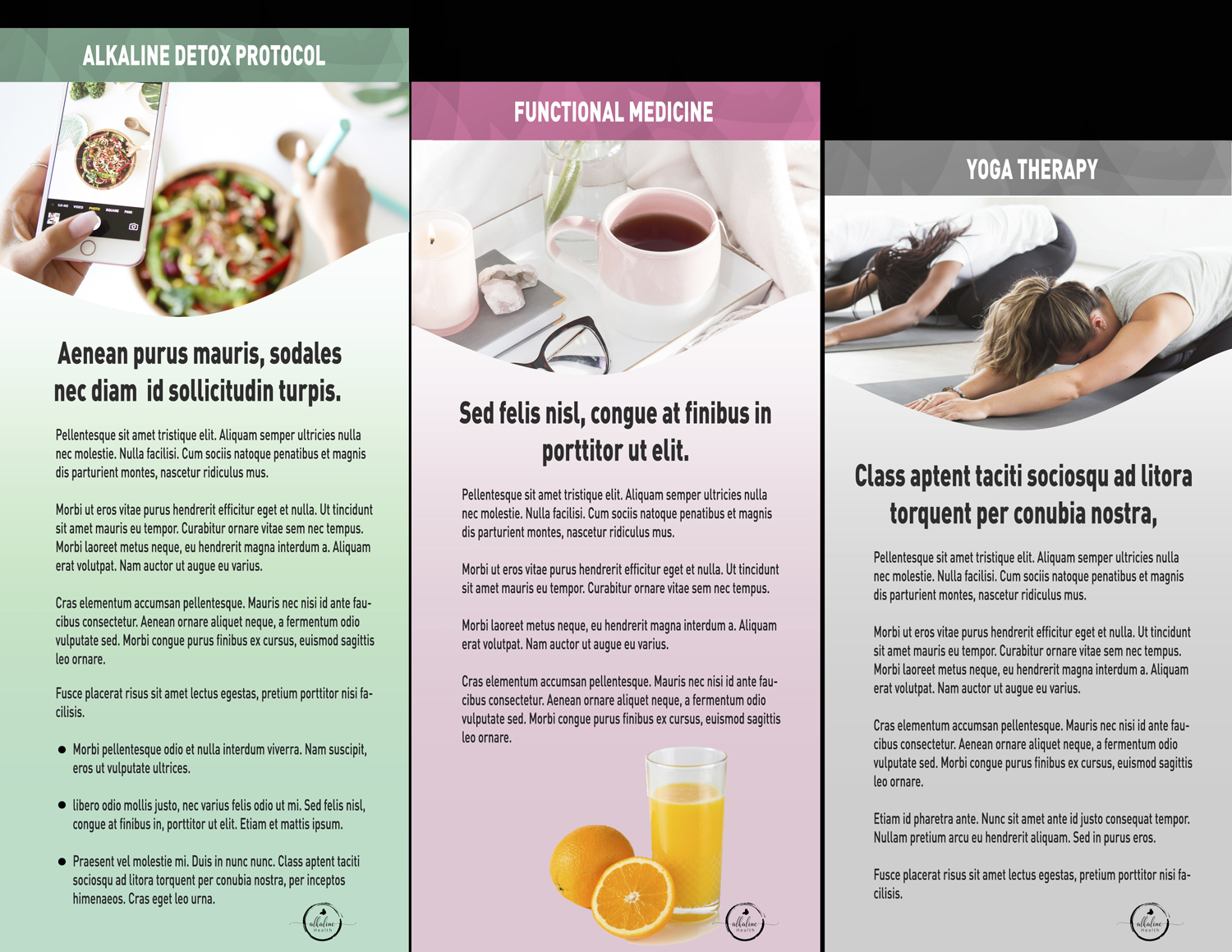 Flyer Design by Javelin Studio for Alkaline Wellness | Design #17626698