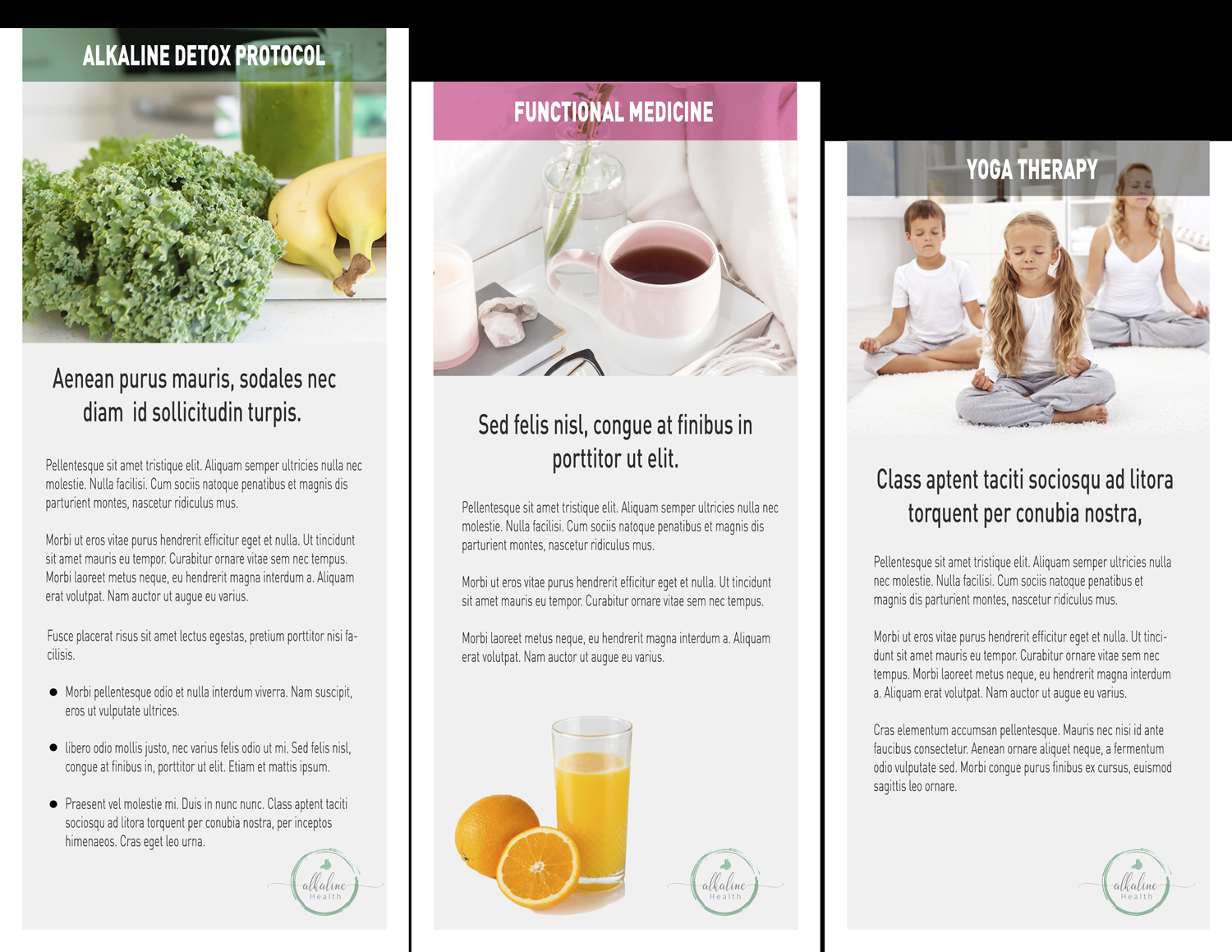 Flyer Design by Javelin Studio for Alkaline Wellness | Design #17667575