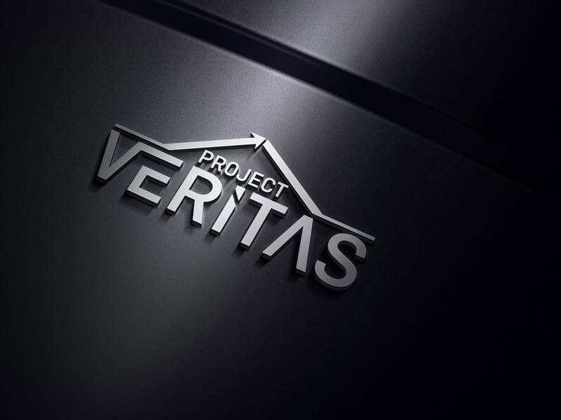 Logo Design by the majestic design for Qantas | Design #17593439