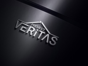 Logo Design by the majestic design for Qantas | Design: #17593439
