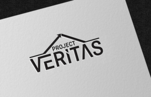 Logo Design by the majestic design for Qantas | Design: #17593447