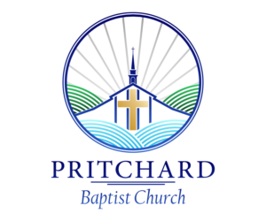 Logo Design by Dan Sabanovici for this project | Design: #17625342