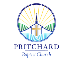 Logo Design by Dan Sabanovici for this project | Design: #17625355