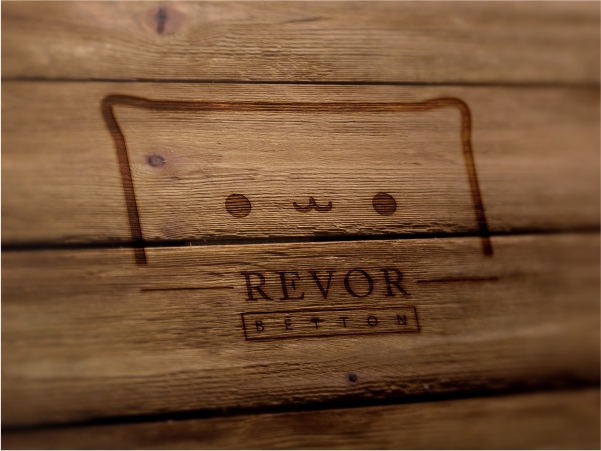 Design de Logo par logodrift pour Moonlight Schlafsysteme | Design #17605299