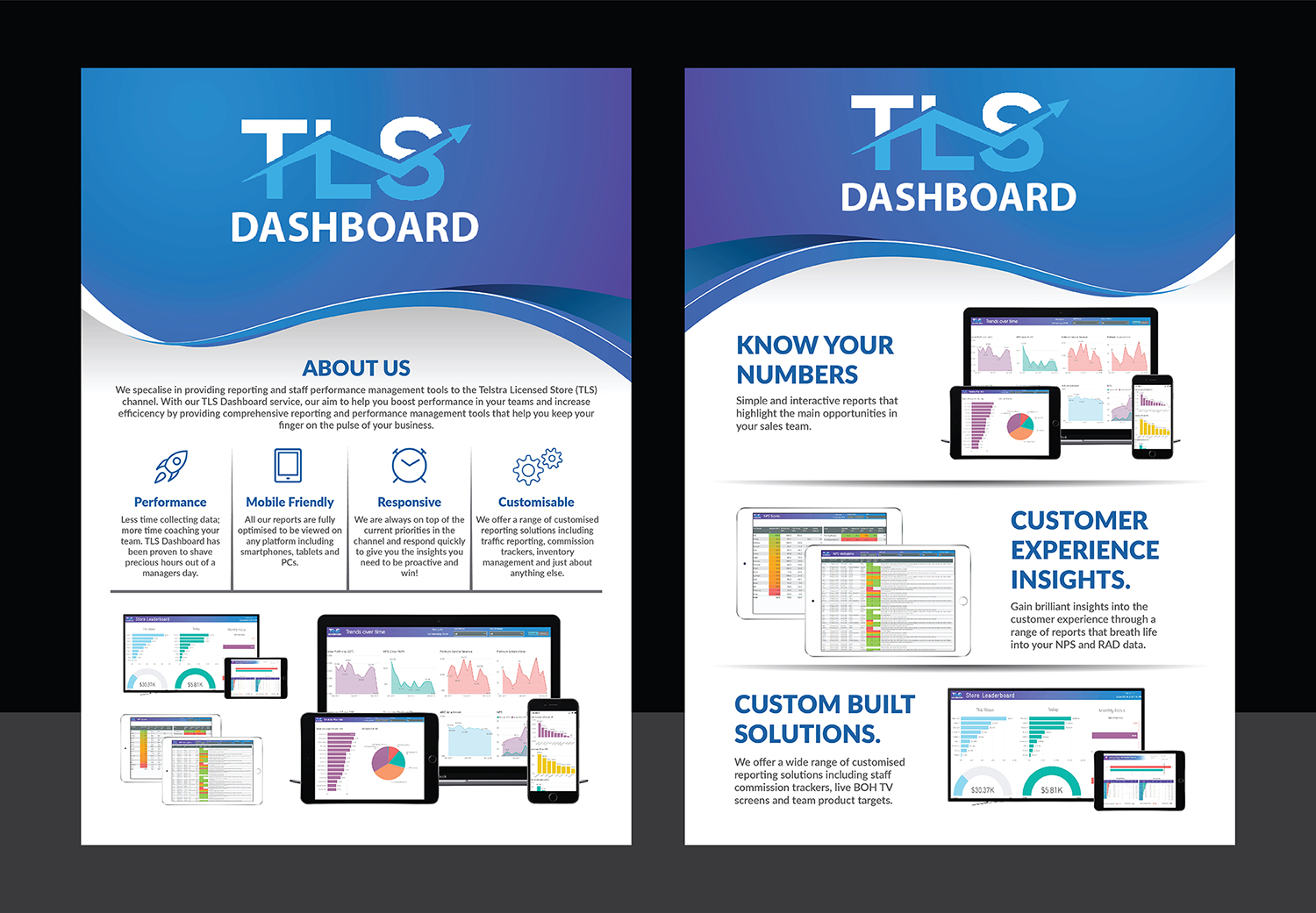 Flyer Design by Deziners Zone for TLS Business Intelligence | Design #17973231
