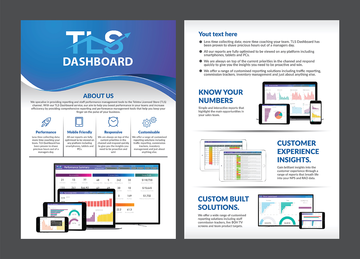 Flyer Design by Deziners Zone for TLS Business Intelligence | Design #18037804