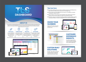 Flyer Design by Deziners Zone for TLS Business Intelligence | Design: #18037804