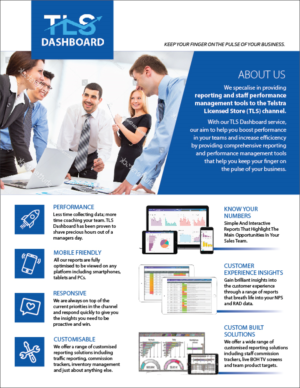 Flyer Design by eleven for TLS Business Intelligence | Design #17993836