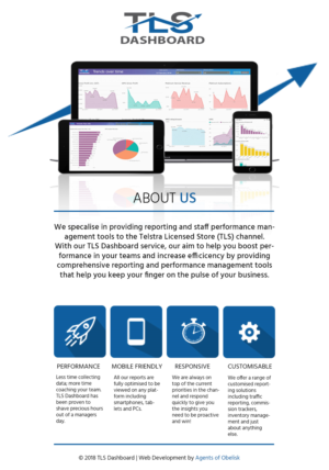 Flyer Design by sormaz.tanja for TLS Business Intelligence | Design #17913988