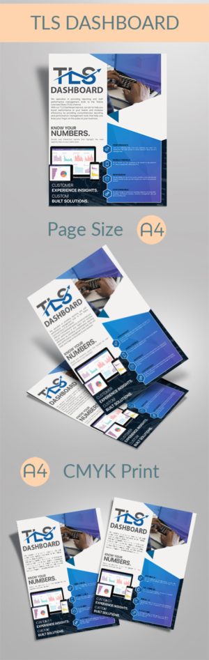 Flyer Design by Urban Akali for TLS Business Intelligence | Design: #17962049