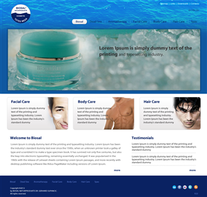 Web Design by pb for SOLOMBRINO ROBERTO MIGUEL SLNE CIF B84689132 | Design: #639463