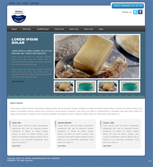 Web Design by pb for SOLOMBRINO ROBERTO MIGUEL SLNE CIF B84689132 | Design: #644327