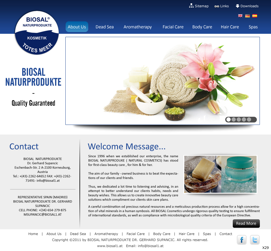 Web Design by pb for SOLOMBRINO ROBERTO MIGUEL SLNE CIF B84689132 | Design #645912