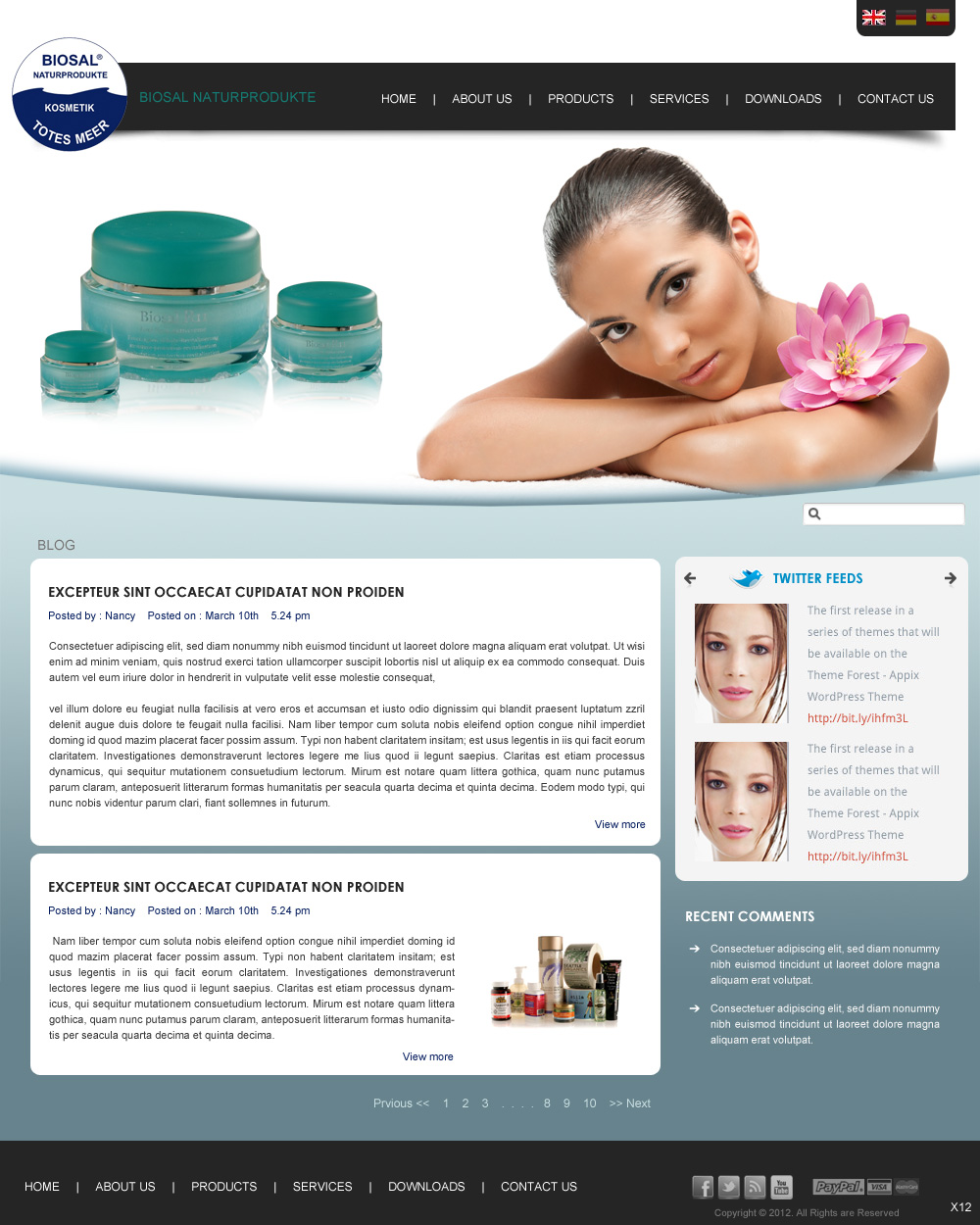 Web Design by pb for SOLOMBRINO ROBERTO MIGUEL SLNE CIF B84689132 | Design #671353