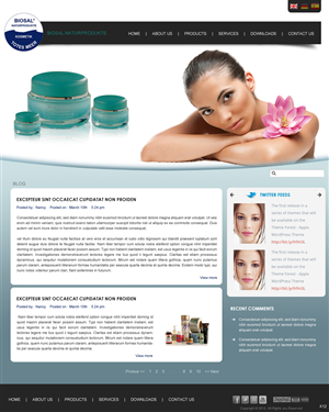 Web Design by pb for SOLOMBRINO ROBERTO MIGUEL SLNE CIF B84689132 | Design: #671353