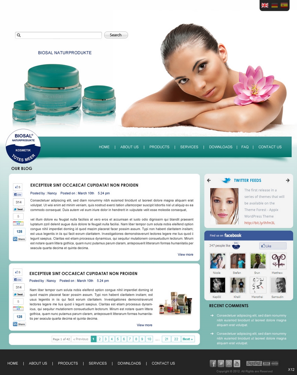 Web Design by pb for SOLOMBRINO ROBERTO MIGUEL SLNE CIF B84689132 | Design #674613